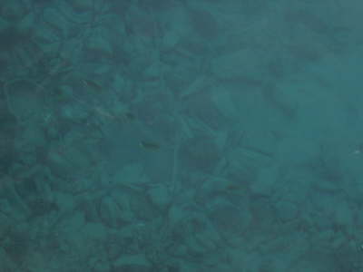 DSC00040