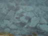 DSC00041
