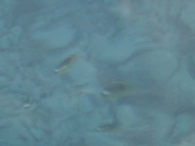 DSC00045