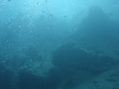 DSC00049