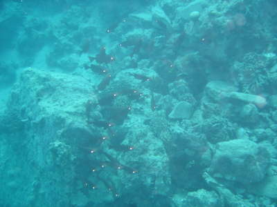 DSC00052