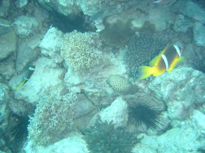 DSC00053