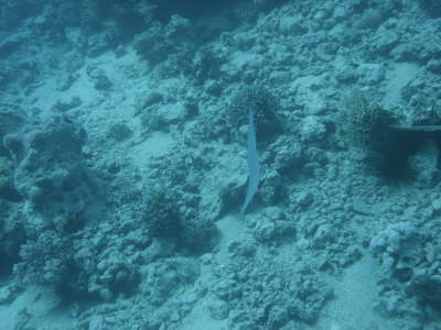 DSC00056