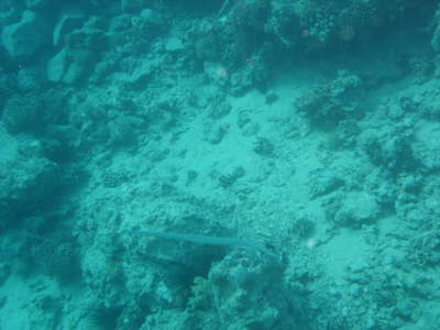 DSC00057
