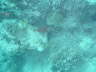 DSC00058