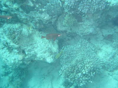 DSC00058