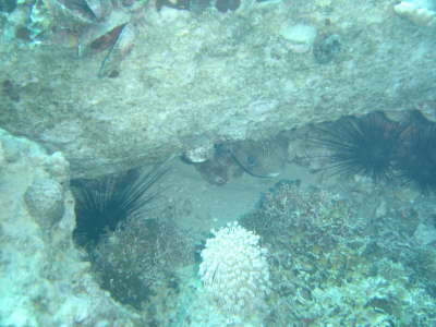 DSC00059