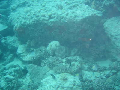 DSC00060