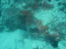 DSC00063