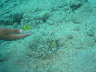 DSC00066