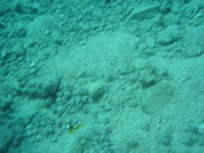 DSC00067