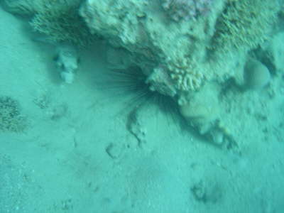 DSC00070