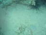 DSC00071
