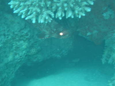 DSC00073