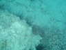 DSC00078