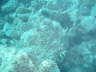 DSC00080