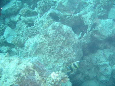 DSC00080