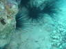 DSC00081