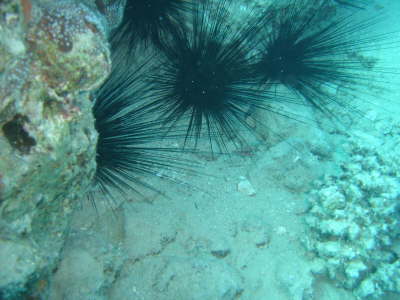 DSC00081