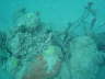 DSC00084