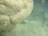 DSC00088