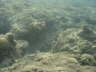 DSC00089