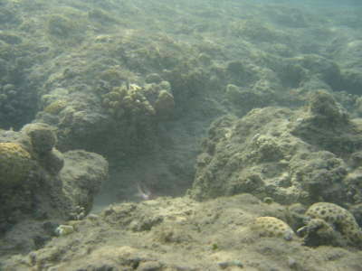 DSC00089