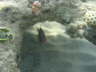DSC00090