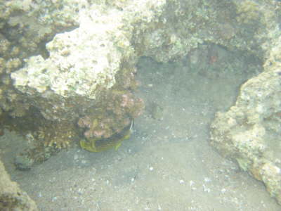 DSC00095