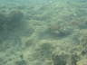 DSC00096