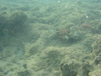 DSC00096