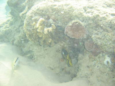 DSC00097