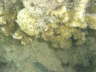 DSC00098
