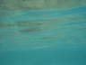 DSC00103