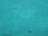 DSC00183