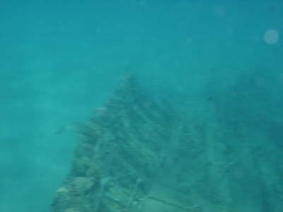 DSC00184