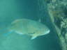 DSC00194