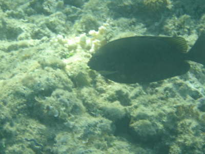 DSC00197