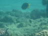 DSC00198