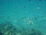DSC00210