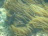 DSC00216