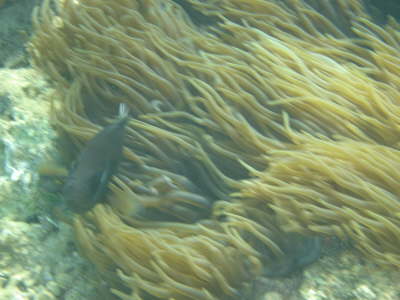 DSC00216