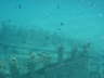 DSC00226