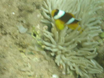 DSC00230