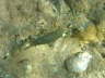 DSC00232
