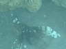 DSC00244
