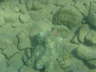 DSC00249