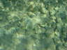 DSC00253