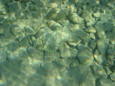 DSC00253