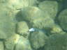 DSC00254